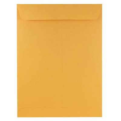 JAM Paper Open End Nonstandard Catalog Envelope, 9 x 12, Brown Kraft, 100/Pack (4132)