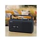 Jensen MCR-250 Portable AM/FM Radio Cassette Recorder/Player, Black