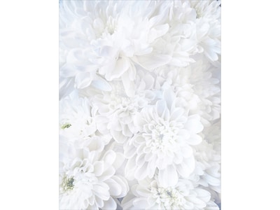 Great Papers! White Soft Petals Everyday Letterhead, White, 80/Pack (2020144)