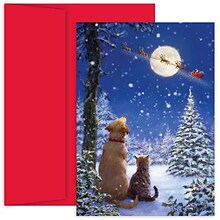 JAM Paper® Christmas Card Set, And To All A Goodnight Holiday Cards, 18/pack (526897500)