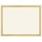 Great Papers Braided Foil Certificates, 8.5 x 11, Beige/Gold, 15/Pack (963006)