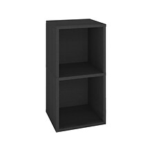 Way Basics 29.1 H x 15 W Eco 2-Shelf Modern Cube Storage and Vinyl Record Shelf, Black Wood Grain