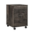 Bush Furniture Key West 2-Drawer Mobile Lateral File Cabinet, Letter/Legal Size, Dark Gray Hickory (