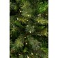 Fraser Hill Farm 6.5 Ft. Canyon Pine Christmas Tree with Smart String Lighting (FFCM065-3GR)