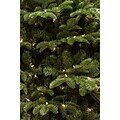 Fraser Hill Farm 9 Ft. Foxtail Pine Christmas Tree with Smart String Lighting (FFFX090-3GR)