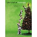 Life Is Full Of Challenges Thank You Holiday Greeting Cards, With A7 Envelopes, 7 x 5, 25 Cards pe