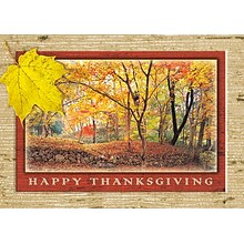 Happy Thanksgiving Fall In The Woods Seasonal Greeting Cards, With A7 Envelopes, 7 x 5, 25 Cards p