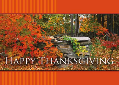 Happy Thanksgiving Scenic Woods In Autumn Seasonal Greeting Cards, With A7 Envelopes, 7 x 5, 25 Ca