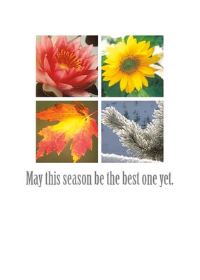 May This Season Be The Best One Yet Greeting Cards, With A7 Envelopes, 7 x 5, 25 Cards per Set