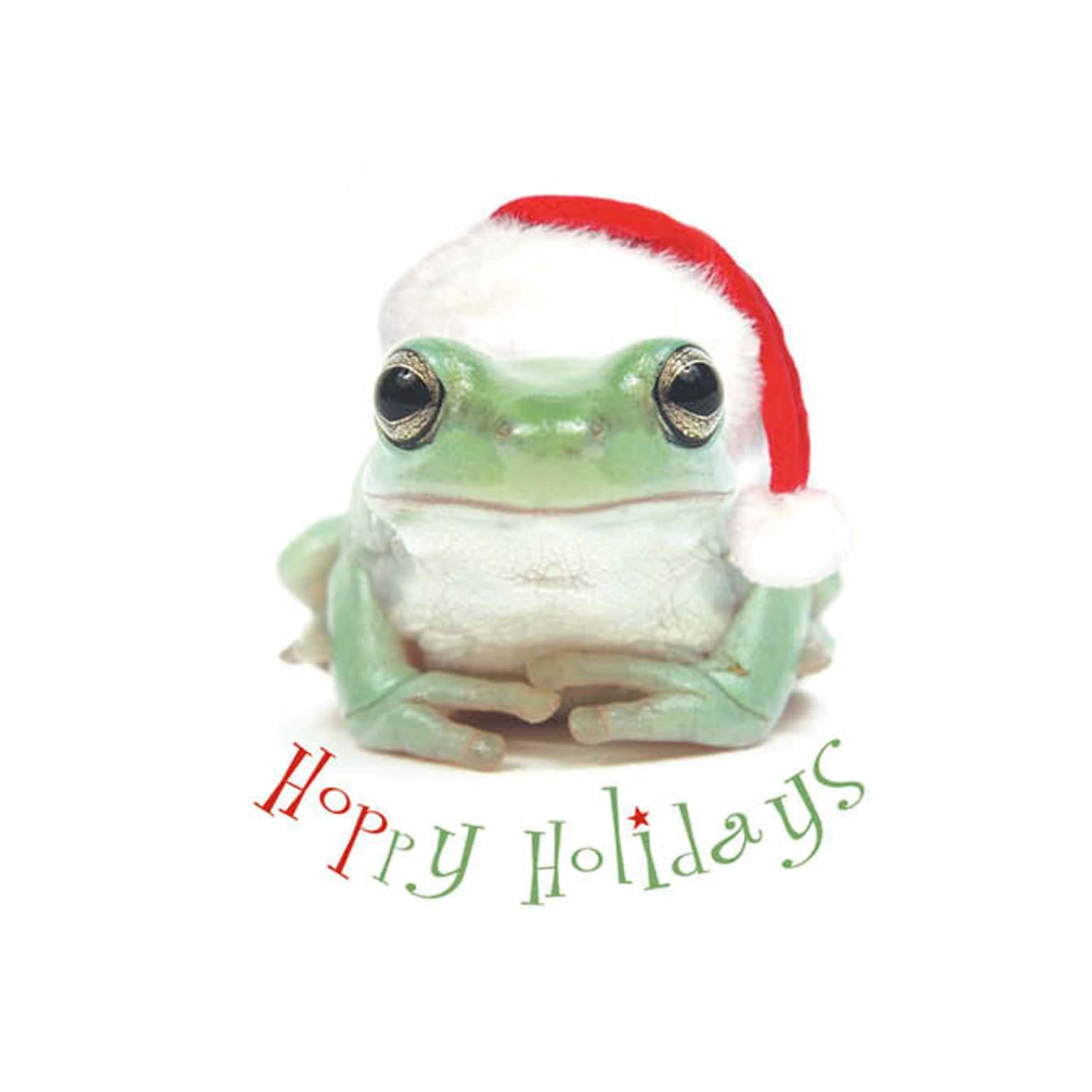 Hoppy Holidays Frog With Santa Hat Holiday Greeting Cards, With A7 Envelopes, 7 x 5, 25 Cards per Set