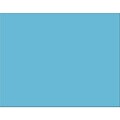 Pacon 4-Ply Poster Board, 22 x 28, Light Blue, 25 Sheets (PAC54841)