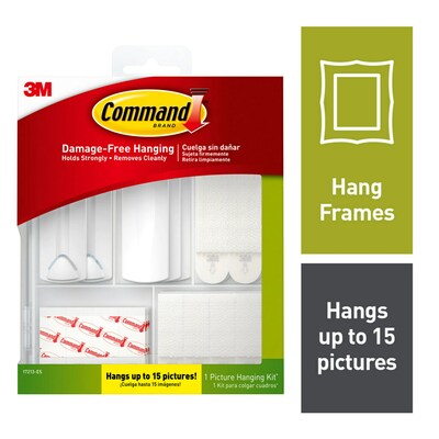 Command Picture Hanging Assortment Kit, White/Clear, 50/Pack (17213-ES)