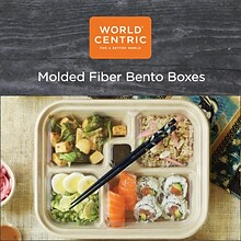 World Centric Fiber Bento Box Container Lids, Five Compartments, 12.1 x 9.8 x 0.8, Clear, 300/Carton