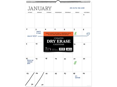 TF Publishing 22 x 17 Monthly Dry Erase Wall Calendar, White (99-1150)