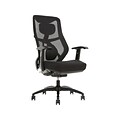 Beautyrest Duo-EX Ergonomic Mesh Swivel Task Chair, Black/Gray (60051GRY)