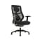 Beautyrest Duo-EX Ergonomic Mesh Swivel Task Chair, Black/Gray (60051GRY)