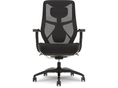 Beautyrest Duo-EX Ergonomic Mesh Swivel Task Chair, Black/Gray (60051GRY)