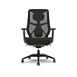 Beautyrest Duo-EX Ergonomic Mesh Swivel Task Chair, Black/Gray (60051GRY)