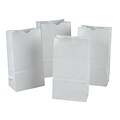 Creativity Street Kraft Bag, White, 6 x 3-5/8 x 11, 50/Pack, 2 Packs (PAC72005-2)