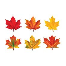TREND Maple Leaves Classic Accents Variety Pack, 36 Per Pack, 3 Packs (T-10958-3)
