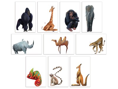 Better Office Cards with Envelopes, 4 x 6, Wild Animals, 100/Pack (64554-100PK)