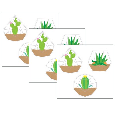 Creative Teaching Press Positively Plants Terrariums 6 Designer Cut-Outs, 36 Per Pack, 3 Packs (CTP