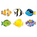 TREND Fish Mini Accents Variety Pack, 36 Per Pack, 6 Packs (T-10822-6)