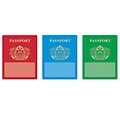 TREND Passports Classic Accents Variety Pack, 36 Per Pack, 3 Packs (T-10980-3)