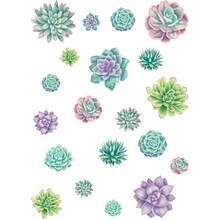 Teacher Created Resources Rustic Bloom Succulents Accents, Assorted Sizes, 60 Per Pack, 3 Packs (TCR