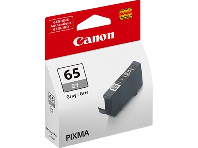 Canon 65 GY Gray Standard Yield Ink Cartridge (4219C002)