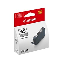 Canon 65 GY Gray Standard Yield Ink Cartridge (4219C002)