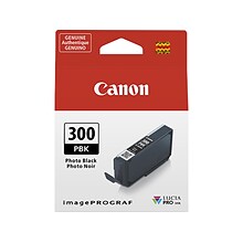 Canon 300 PBK Photo Black Standard Yield Ink Cartridge (4193C002)