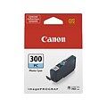 Canon 300 PC Photo Cyan Standard Yield Ink Cartridge (4197C002)
