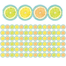 Teacher Created Resources Die-Cut Border , 2.75 x 210, Lemon Zest Citrus Slices (TCR8490-6)