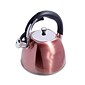 Mr. Coffee Belgrove 2.5 Qt Whistling Tea Kettle, Copper