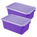 Storex Plastic Small Cubby Bin with Lid, 12.2 x 7.8 x 5.1, Purple, Pack of 2 (STX62411U06C-2)
