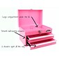 Apollo Tools 2-Drawer Chest Case, Pink (DT5010P)
