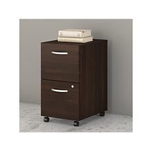 Bush Business Furniture Studio C 2-Drawer Mobile Vertical File Cabinet, Letter/Legal Size, Lockable,