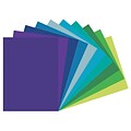 Pacon Tru-Ray 9 x 12 Construction Paper, Cool Colors, 50 Sheets/Pack, 5 Packs (PAC102942-5)