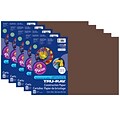 Tru-Ray® Construction Paper, Dark Brown, 12 x 18, 50 Sheets Per Pack, 5 Packs (PAC103056-5)