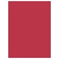 Pacon SunWorks 9 x 12 Construction Paper, Red, 50 Sheets/Pack, 10 Packs (PAC6103-10)
