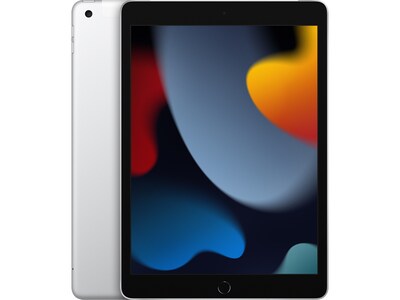 Apple iPad 10.2 Tablet, 256GB, WiFi + Cellular, 9th Generation, Silver (MK6A3LL/A)