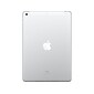 Apple iPad 10.2" Tablet, 64GB, WiFi + Cellular, 9th Generation, Silver (MK673LL/A)