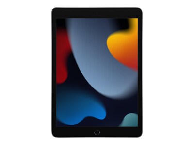 Apple iPad 10.2 Tablet, 64GB, WiFi + Cellular, 9th Generation, Space Gray (MK663LL/A)