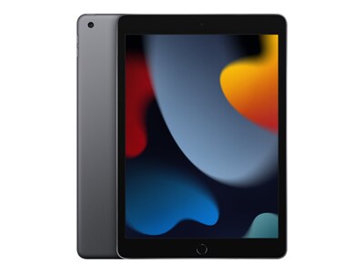 Apple iPad 10.2 Tablet, 256GB, WiFi + Cellular, 9th Generation, Space Gray (MK693LL/A)