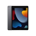 Apple iPad 10.2 Tablet, 256GB, WiFi + Cellular, 9th Generation, Space Gray (MK693LL/A)