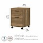 Bush Furniture Key West 2-Drawer Mobile Lateral File Cabinet, Letter/Legal Size, Reclaimed Pine (KWF116RCP-03)