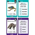 Teacher Created Resources® SpellChecked Card Game (EP-66111)