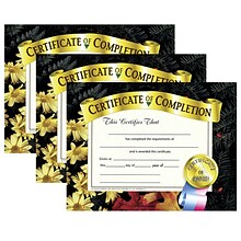 Hayes Publishing Certificate of Completion, 8.5 x 11, 30/Pack, 3 Packs (H-VA524-3)