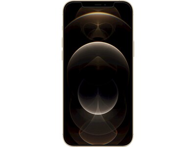 Belkin SCREENFORCE UltraGlass Protector for iPhone 12 Pro Max (OVA039zz)